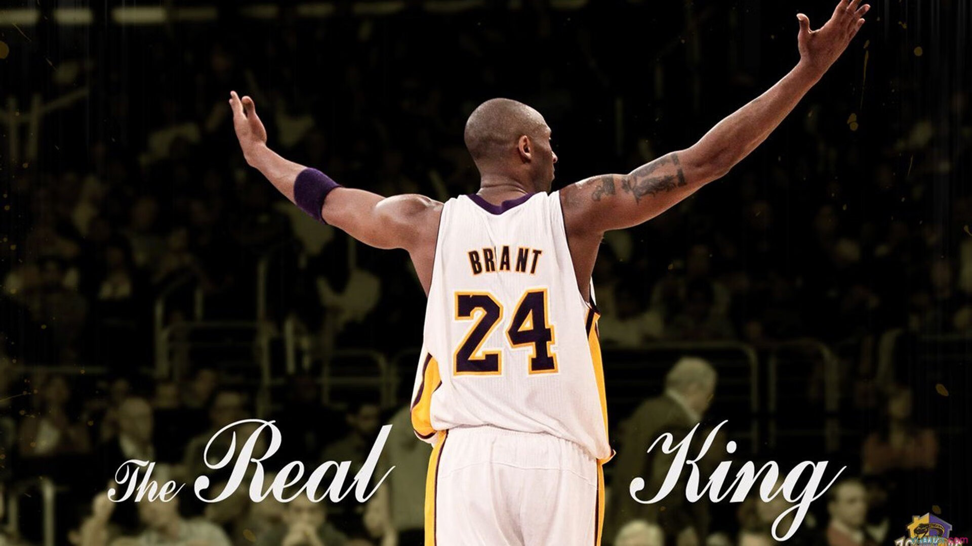 末节之王！福克斯狂飙20分导演逆转，凯尔特人险胜黄蜂