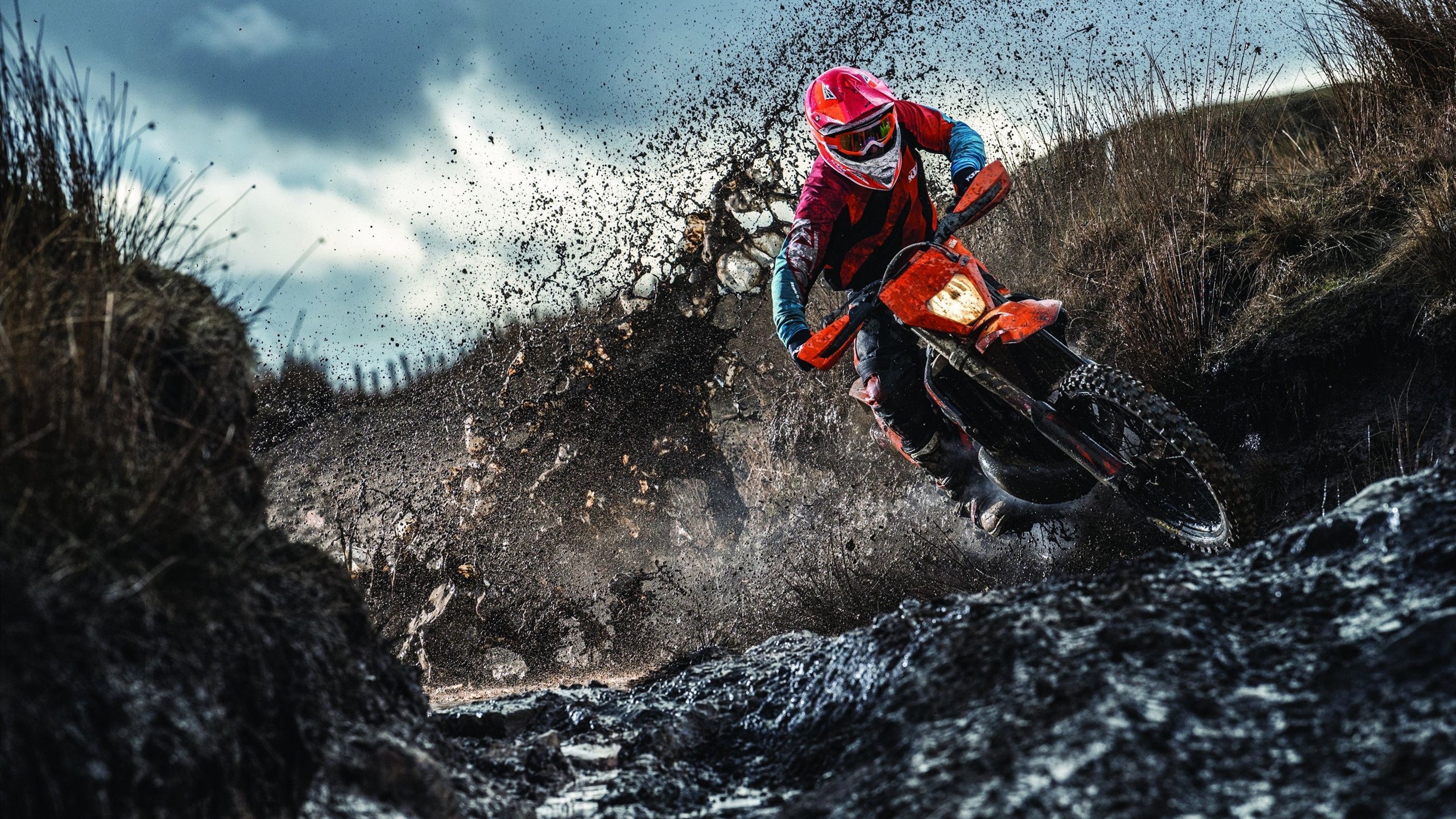 鹈鹕逆袭爵士，霍勒迪关键战定江山，新奥尔良展露冠军相